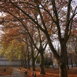 Приклади фотографій: Canon EOS 300D + Canon EF-S 10-22mm f/3.5-4.5 USM