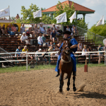 Musterfotos: Sigma 120-300mm f/2.8 DG OS HSM Sports + Canon EOS-6D Mark II - RAW-Lightroom CC 8.3.1