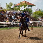 Sample Photos: Sigma 120-300mm f/2.8 DG OS HSM Sports + Canon EOS-6D Mark II - RAW-Lightroom CC 8.3.1