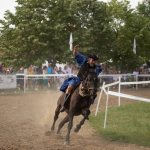 Sample Photos: Sigma 120-300mm f/2.8 DG OS HSM Sports + Canon EOS-6D Mark II - RAW-Lightroom CC 8.3.1