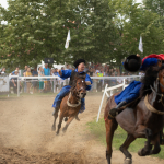 Sample Photos: Sigma 120-300mm f/2.8 DG OS HSM Sports + Canon EOS-6D Mark II - RAW-Lightroom CC 8.3.1