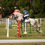 Minta fotók: Sigma 120-300mm f/2.8 DG OS HSM Sports + Canon EOS-6D Mark II - RAW-Lightroom CC 8.3.1