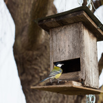 Ukázkové fotografie: Olympus E-M1 Mark II + M.Zuiko Digital ED 45mm f/1.2 PRO - RAW-Lightroom