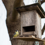 Ukázkové fotografie: Olympus E-M1 Mark II + M.Zuiko Digital ED 45mm f/1.2 PRO - RAW-Lightroom